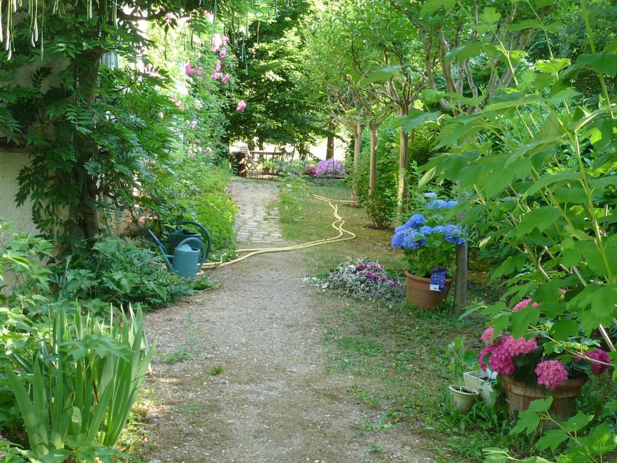 L'Oree Du Bois Luzech Bagian luar foto